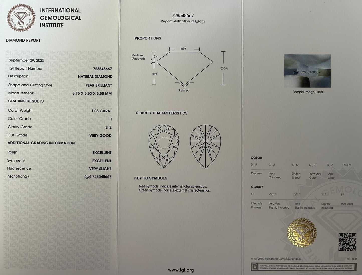 Platīnas ķēde+kulons ar briljantiem